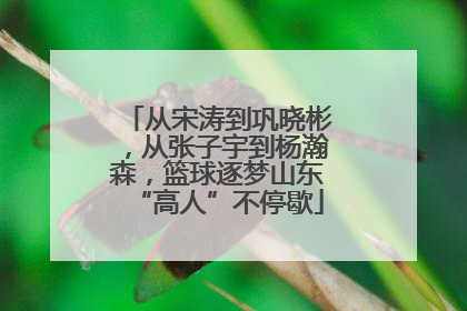 从宋涛到巩晓彬，从张子宇到杨瀚森，篮球逐梦山东“高人”不停歇