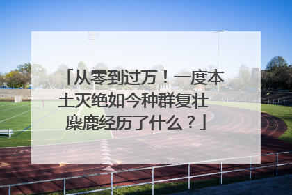 从零到过万！一度本土灭绝如今种群复壮 麋鹿经历了什么？