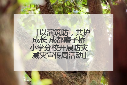 以演筑防，共护成长 成都磨子桥小学分校开展防灾减灾宣传周活动