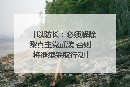 以防长：必须解除黎真主党武装 否则将继续采取行动