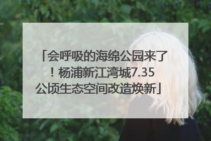 会呼吸的海绵公园来了！杨浦新江湾城7.35公顷生态空间改造焕新