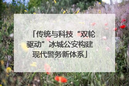 传统与科技“双轮驱动”冰城公安构建现代警务新体系