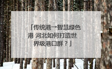 传统港→智慧绿色港 河北如何打造世界级港口群？