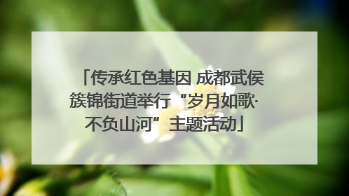 传承红色基因 成都武侯簇锦街道举行“岁月如歌·不负山河”主题活动