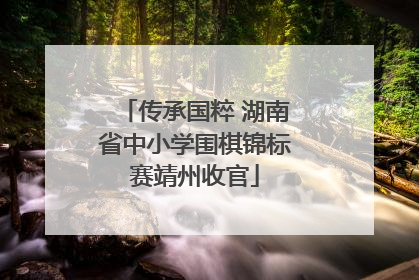 传承国粹 湖南省中小学围棋锦标赛靖州收官