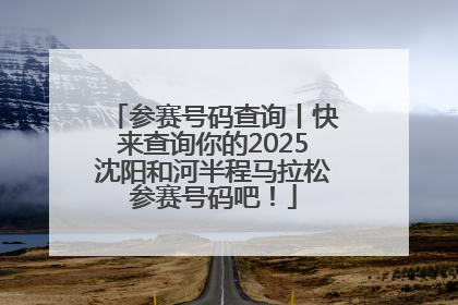 参赛号码查询丨快来查询你的2025沈阳和河半程马拉松参赛号码吧!