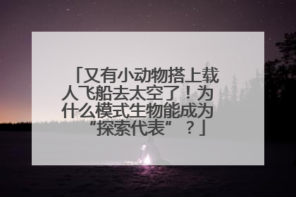 又有小动物搭上载人飞船去太空了！为什么模式生物能成为“探索代表”？