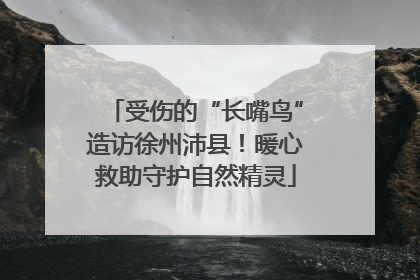 受伤的“长嘴鸟”造访徐州沛县！暖心救助守护自然精灵