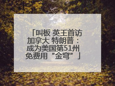 叫板 英王首访加拿大 特朗普：成为美国第51州免费用“金穹”