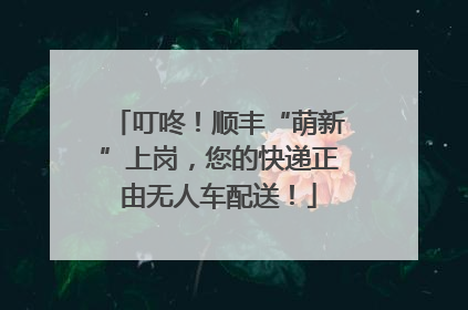 叮咚！顺丰“萌新”上岗，您的快递正由无人车配送！