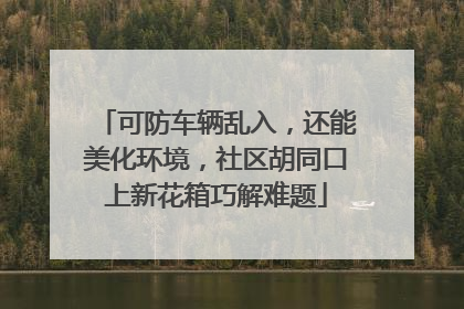 可防车辆乱入，还能美化环境，社区胡同口上新花箱巧解难题