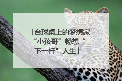 台球桌上的梦想家 “小孩哥”畅想“下一杆”人生