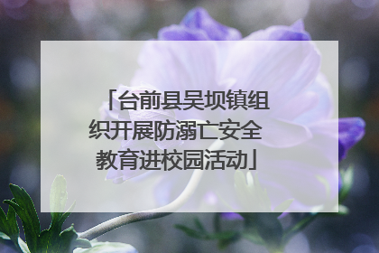 台前县吴坝镇组织开展防溺亡安全教育进校园活动