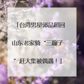 台湾男星郭品超回山东老家骑“三蹦子”赶大集被偶遇！