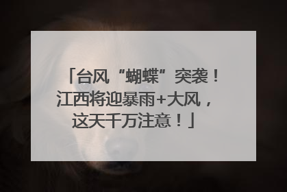 台风“蝴蝶”突袭！江西将迎暴雨+大风，这天千万注意！
