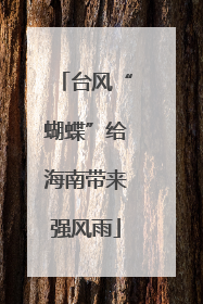 台风“蝴蝶”给海南带来强风雨