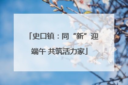 史口镇：同“新”迎端午 共筑活力家