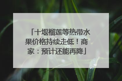 十堰榴莲等热带水果价格持续走低！商家：预计还能再降