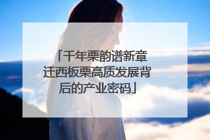 千年栗韵谱新章 迁西板栗高质发展背后的产业密码