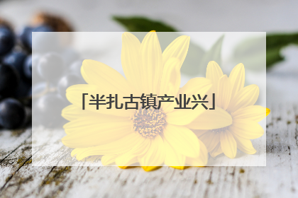 半扎古镇产业兴
