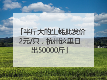 半斤大的生蚝批发价2元/只，杭州这里日出50000斤