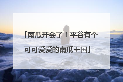 南瓜开会了！平谷有个可可爱爱的南瓜王国