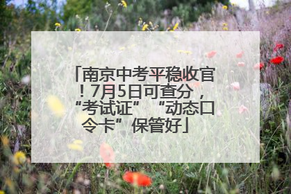 南京中考平稳收官！7月5日可查分，“考试证”“动态口令卡”保管好