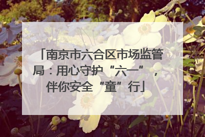 南京市六合区市场监管局：用心守护“六一”，伴你安全“童”行