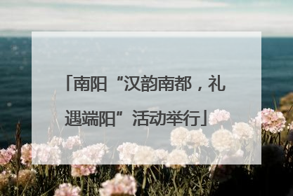 南阳“汉韵南都，礼遇端阳”活动举行