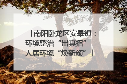 南阳卧龙区安皋镇：环境整治“出真招” 人居环境“焕新颜”