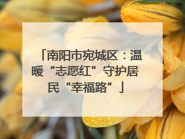 南阳市宛城区：温暖“志愿红”守护居民“幸福路”