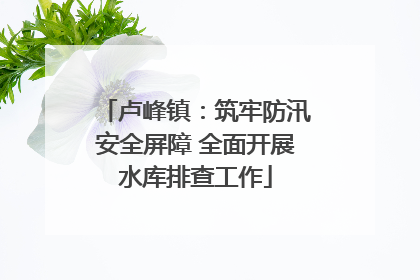 卢峰镇：筑牢防汛安全屏障 全面开展水库排查工作