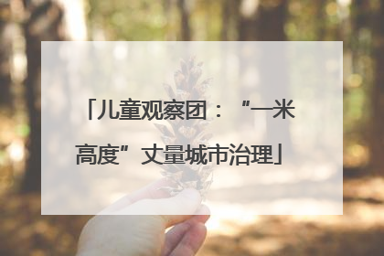 儿童观察团：“一米高度”丈量城市治理