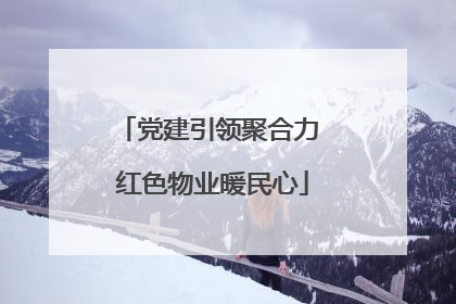 党建引领聚合力 红色物业暖民心