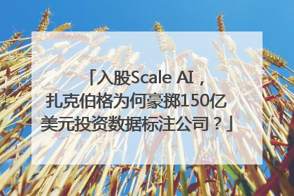 入股Scale AI，扎克伯格为何豪掷150亿美元投资数据标注公司？