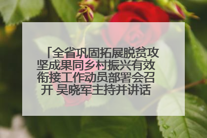 全省巩固拓展脱贫攻坚成果同乡村振兴有效衔接工作动员部署会召开 吴晓军主持并讲话 罗东川作安排部署