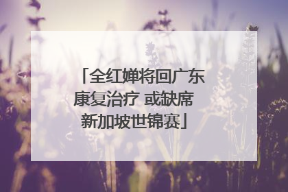 全红婵将回广东康复治疗 或缺席新加坡世锦赛