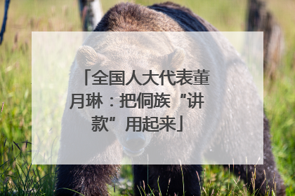 全国人大代表董月琳：把侗族“讲款”用起来