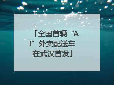全国首辆“AI”外卖配送车在武汉首发