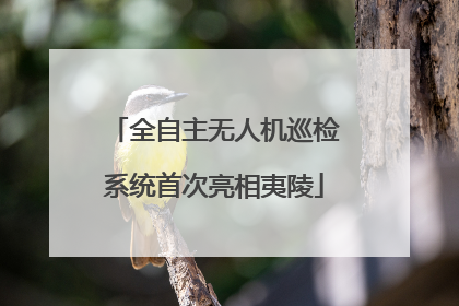 全自主无人机巡检系统首次亮相夷陵