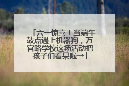 六一惊喜！当端午鼓点遇上机器狗，万官路学校这场活动把孩子们看呆啦→