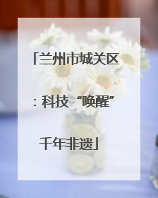 兰州市城关区：科技“唤醒”千年非遗