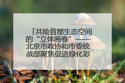 共绘首都生态空间的“立体画卷”——北京市政协和市委统战部聚焦促进绿化彩化美化生态空间建设联合协商议政