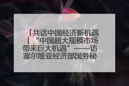 共话中国经济新机遇丨“中国超大规模市场带来巨大机遇”——访塞尔维亚经济部国务秘书尼科利奇