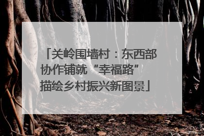 关岭围墙村：东西部协作铺就“幸福路” 描绘乡村振兴新图景