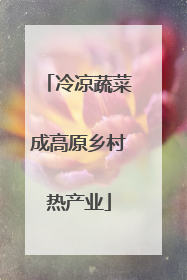 冷凉蔬菜成高原乡村热产业