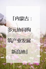 内蒙古：多元协同构筑产业发展新高地