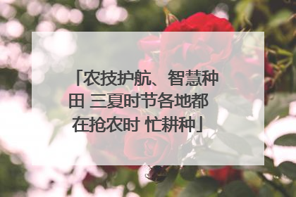 农技护航、智慧种田 三夏时节各地都在抢农时 忙耕种