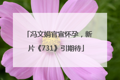 冯文娟官宣怀孕，新片《731》引期待