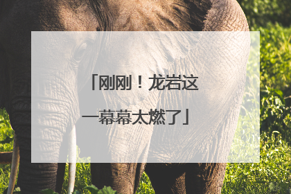 刚刚！龙岩这一幕幕太燃了
